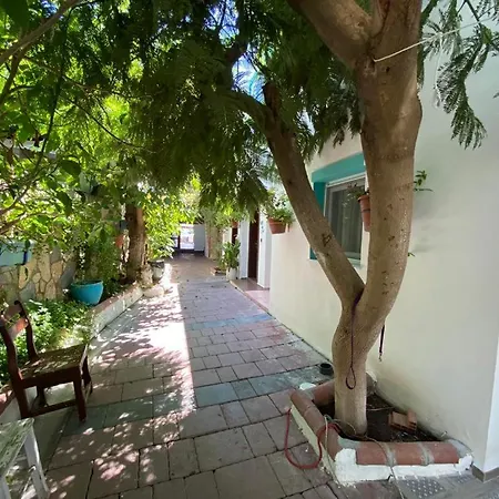 Manolya Hotel *