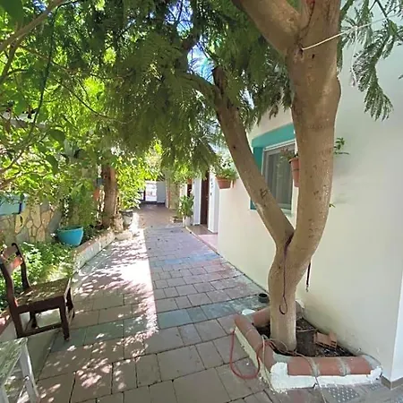 Hotel Manolya *