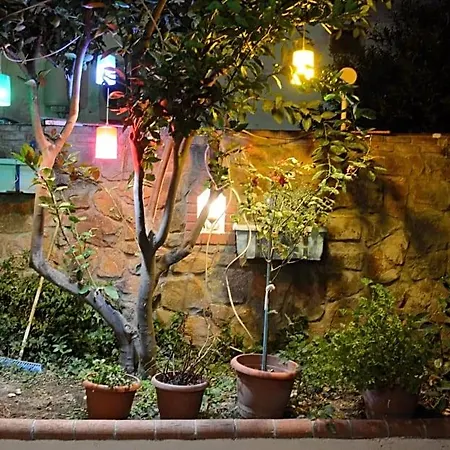 Manolya Hotel Bodrum