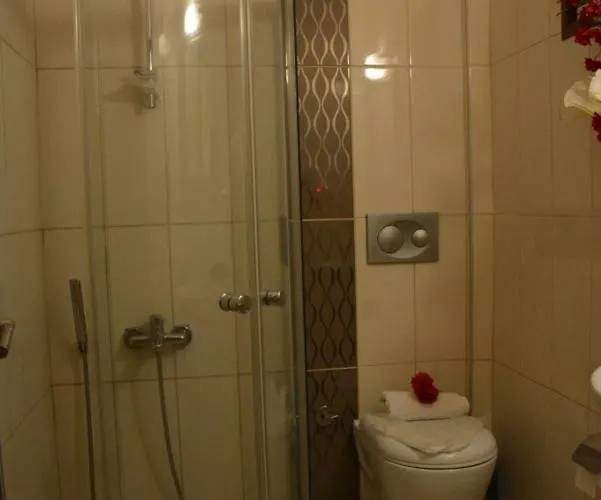 Hotel Manolya *